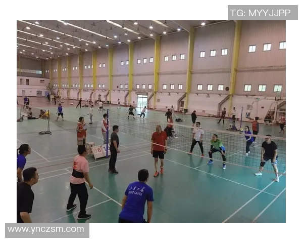 对话周静：回顾排球生涯的辉煌与挑战，展望未来的无限可能