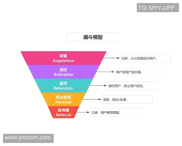 南京排球队战术解析与对比探讨揭示球队胜负关键因素