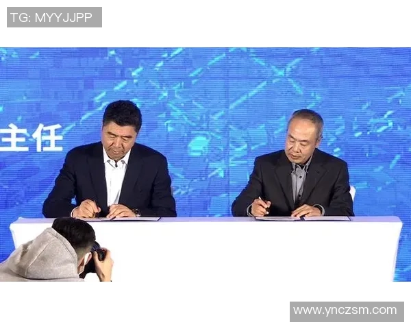 北京排球队的运营策略分析与发展前景探讨