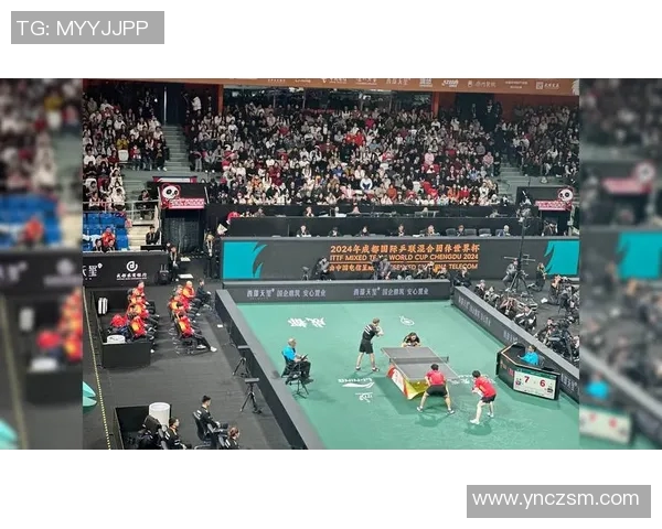 成都乒乓球队实力深度解析与发展前景展望 成都乒乓球队实力深度解析与发展前景展望