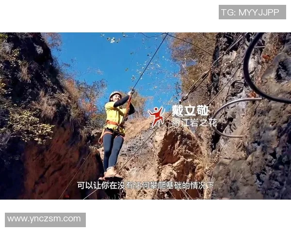 攀登梦想与挑战：北京攀岩队成长历程的真实记录与反思