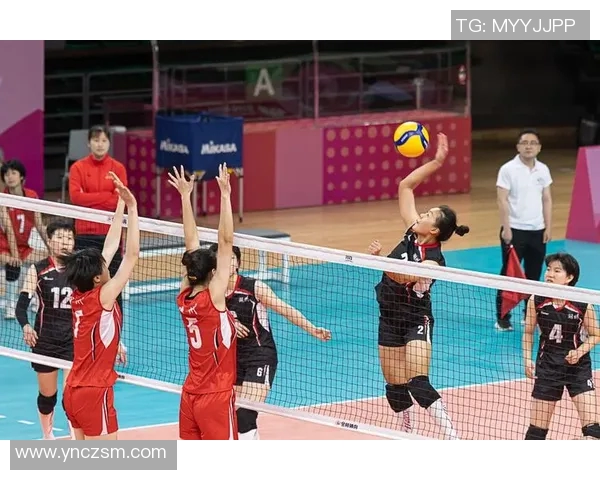 排球盛宴：深入杭州排球队的训练与比赛节奏揭秘