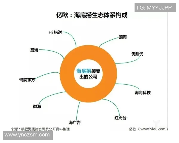 杭州飞盘队进攻革新之路探索与实践分析 杭州飞盘队进攻革新之路探索与实践分析