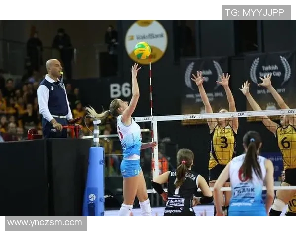 武汉排球队技术表现深度分析与数据解读探讨