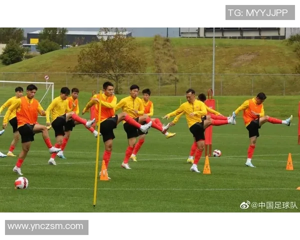 西安篮球队在亚运会中的战术表现分析与点评 西安篮球队在亚运会中的战术表现分析与点评