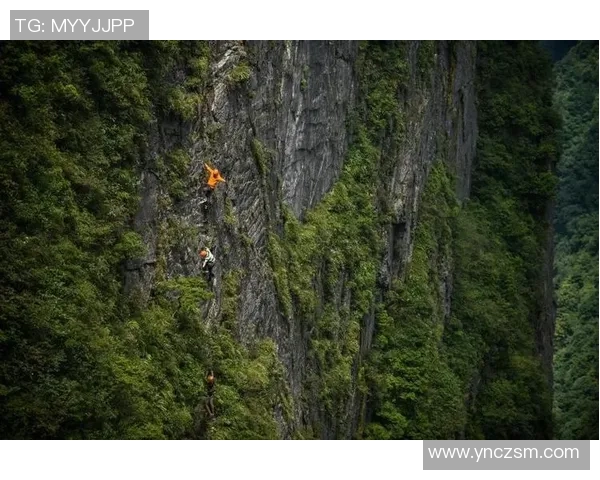 西安攀岩队的反击之路：挑战与收获的深度剖析