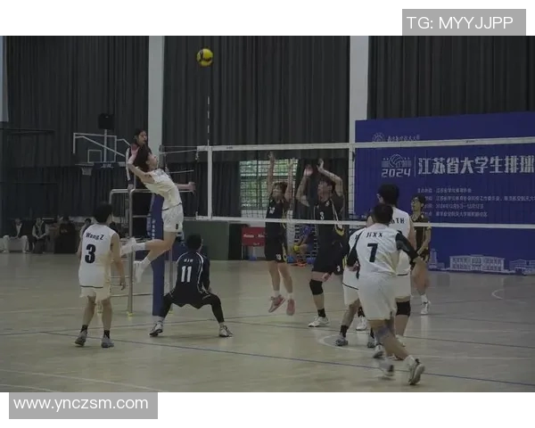 重庆排球队配合变革引发热议展现团队协作新风貌 重庆排球队配合变革引发热议展现团队协作新风貌