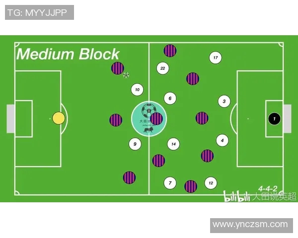 北京排球队区域防守体系解析与战术策略探讨