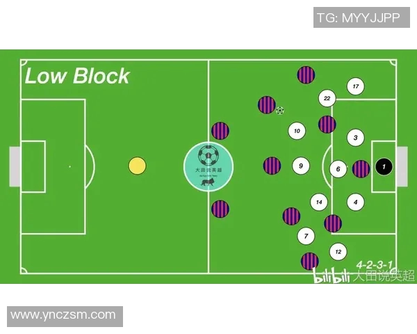 北京排球队防守策略解析与技术提升探讨