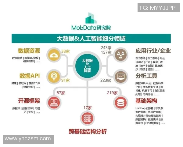 西安极限运动队攻防战术创新探索与发展全景分析