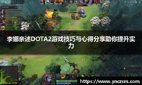 李娜亲述DOTA2游戏技巧与心得分享助你提升实力
