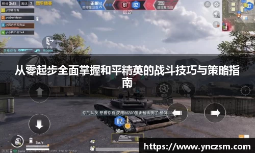 从零起步全面掌握和平精英的战斗技巧与策略指南