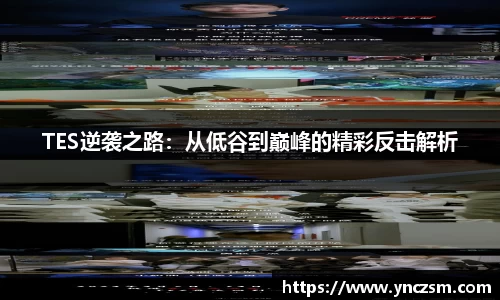 TES逆袭之路：从低谷到巅峰的精彩反击解析