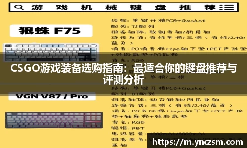 CSGO游戏装备选购指南：最适合你的键盘推荐与评测分析