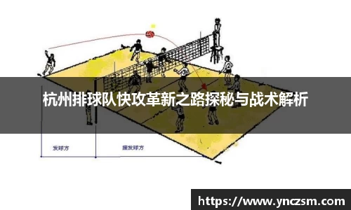 杭州排球队快攻革新之路探秘与战术解析