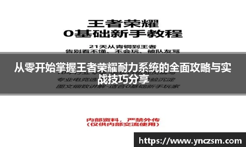 从零开始掌握王者荣耀耐力系统的全面攻略与实战技巧分享