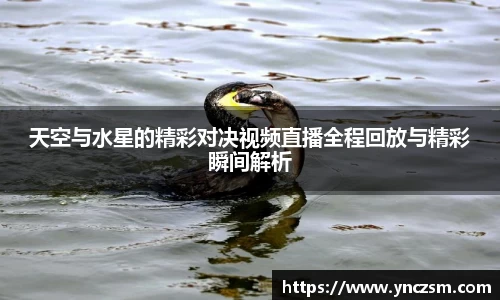 好博体育app下载
